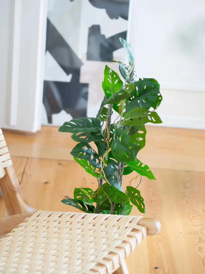 Künstliche Monstera Jonathan von Aplanta in Grün, Höhe: 75 cm - Bild 3