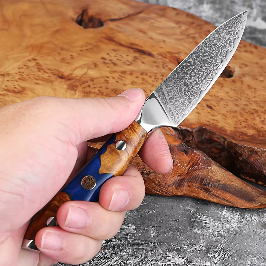 Xituo Damaststahl Obstmesser mit Holz-Harz-Griff in Multicolour, 3,5-Zoll Schälmesser für Obst und Gemüse - Bild 3