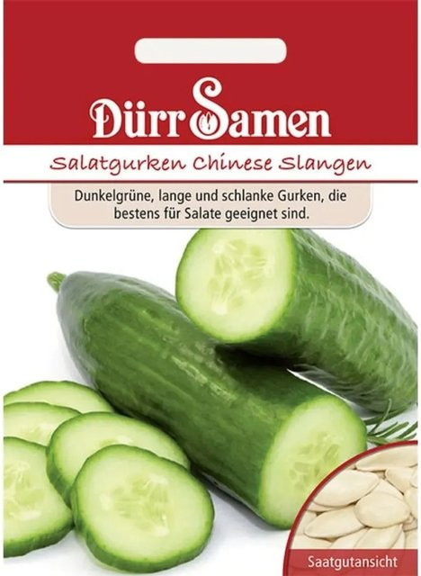 Dürr Samen Salatgurken Chinese Slangen Saatgut 60 g - Bild 1