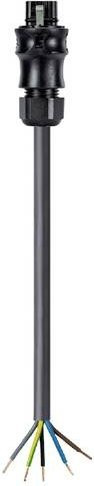 Wieland Electric Anschlussleitung Schwarz 96.452.3054.1 - Bild 1