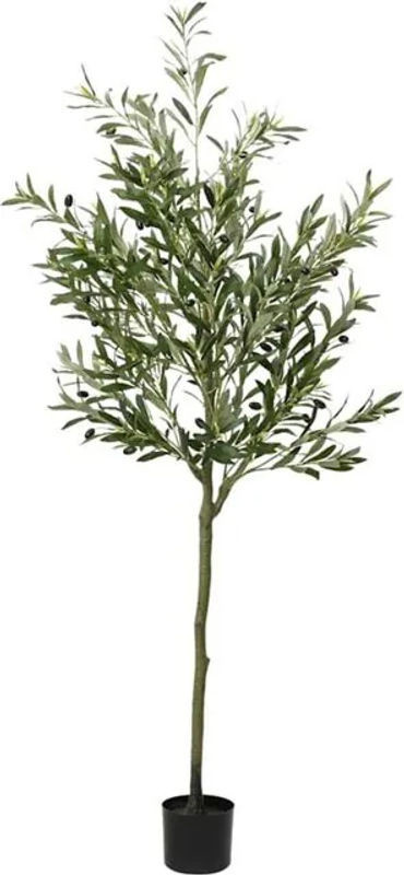 Künstlicher Olivenbaum von vidaxl in Grün, Höhe: 180 cm - Bild 1