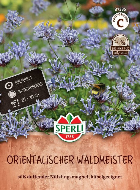 SPERLI Orientalischer Waldmeister Samen, violett - Bild 1
