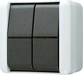Jung Wippschalter 10AX 250V Doppel Wechsler 809 W in Weiß - Bild 1