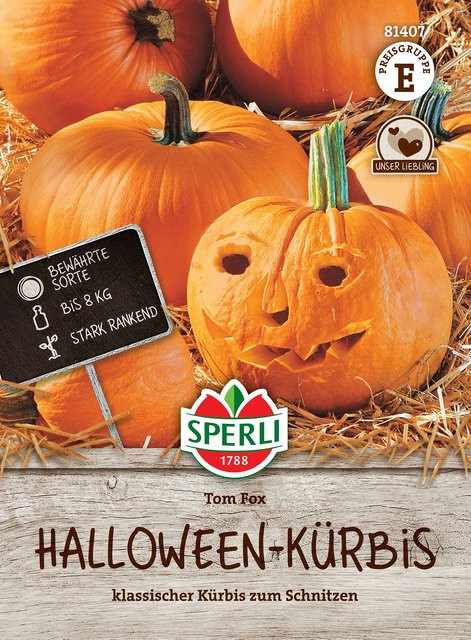 SPERLI Halloween Kürbis-Samen Tom Fox - Bild 1
