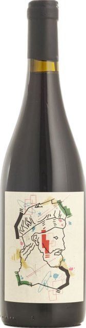 Camiliano Syrah Rotwein, 2018, Toskana, trocken, 13,5 %, 0,75 l - Bild 1