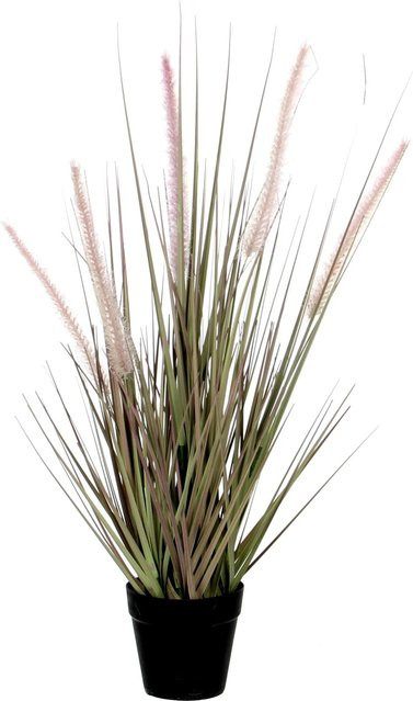 Mica Decorations Kunstpflanze Lagurus Gras Dogtail in Violett und Grün im Topf, Durchmesser: 30 cm, Höhe: 53 cm - Bild 1