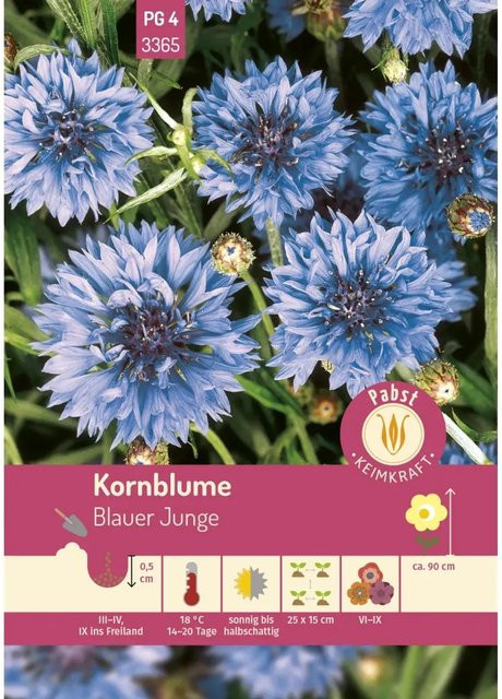 Pabst Keimkraft Kornblume Blauer Junge Saatgut - Bild 1