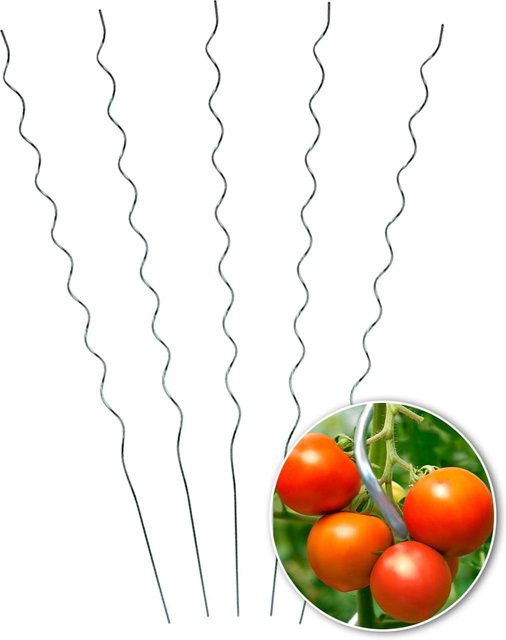 Tomaten-Spiralstab 5er-Set, Höhe: 110 cm - Bild 1