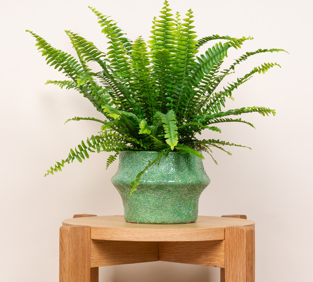 Keramik Übertopf Organisch von BLUME2000 in Grün, Höhe: 14,0 cm, Breite: 14,0 cm, Tiefe: 12,5 cm - Bild 1