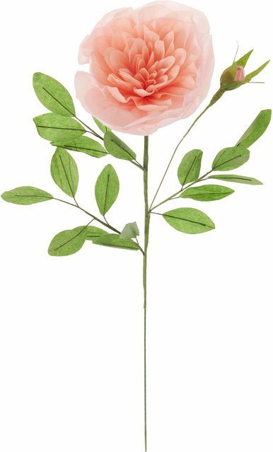 Rico Design Papierblume Rose gefüllt in Apricot - Bild 1