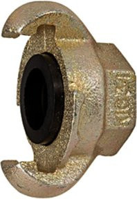 Riegler Klauenkupplung aus Messing mit Innengewinde G 3/4, DN 20, Farbe: Silber - Bild 1