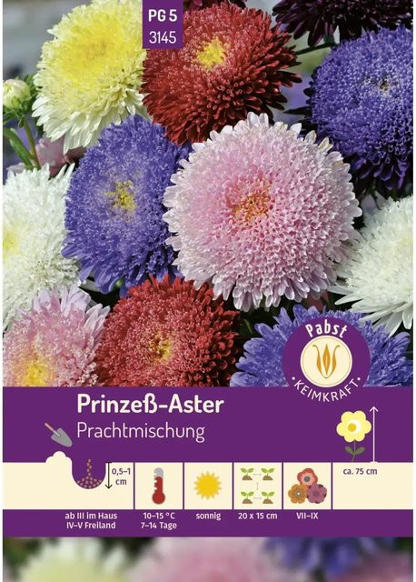 Pabst Keimkraft Prinzeß Aster Prachtmischung Saatgut für Beete und Rabatten - Bild 1