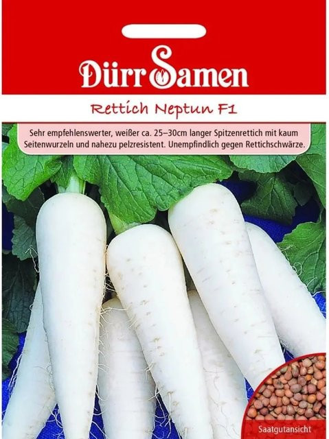 Dürr Samen Rettich Neptun F1 Saatgut weiß - Bild 1