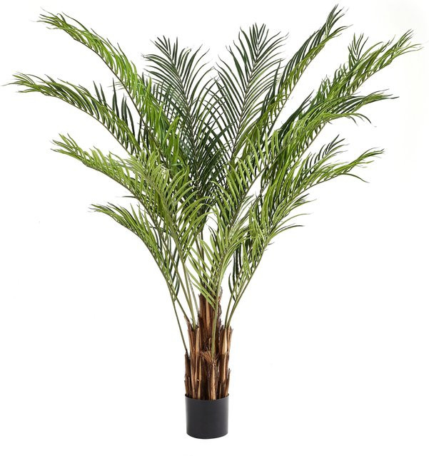 Künstliche Kentia-Palme von Aplanta, Höhe: 200 cm - Bild 1