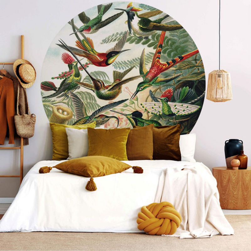 K&L Wall Art Runde Vliestapete Haeckel Kolibris Nostalgisch, mehrfarbig, matt, B: 153 cm, H: 140 cm - Bild 2
