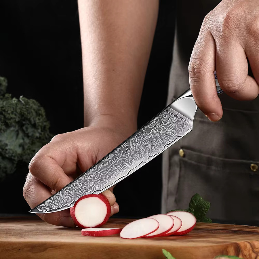 Xituo Damaststahl Steakmesser mit buntem Acryl-Abalone-Griff für Fleisch und Obst - Bild 5