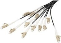 Digitus Glasfaser LWL Anschlusskabel Duplex Multimode OM4 mit LC/UPC-Steckern Schwarz 50/1 m - Bild 1