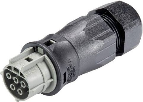 Wieland Electric 96.051.4554.3 Steckverbinder in Grau - Bild 1