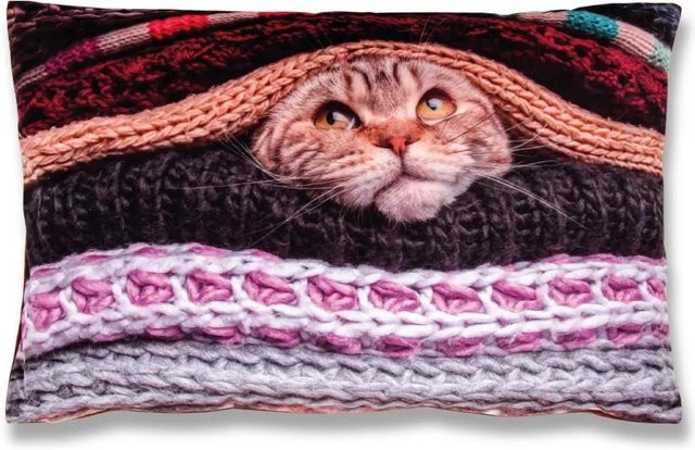 Bestlivings Kissenhüllen mit Katze Fotodruck, 2er Pack, Mehrfarbig, B: 60 cm, H: 40 cm - Bild 1