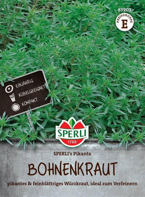 SPERLI Bohnenkraut-Samen Pikanta für deinen Kräutergarten - Bild 1