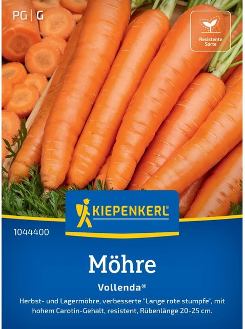 Kiepenkerl Profi-Line Möhre Vollenda Saatgut - Bild 1