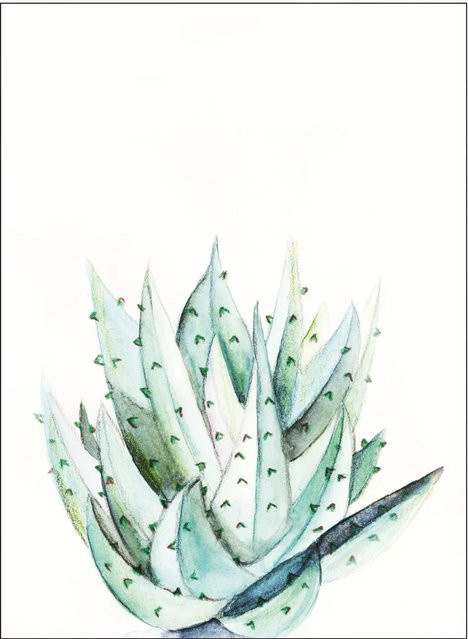 Komar Wandbild Aloe Watercolor in Grün, Breite: 40 cm, Höhe: 50 cm - Bild 1
