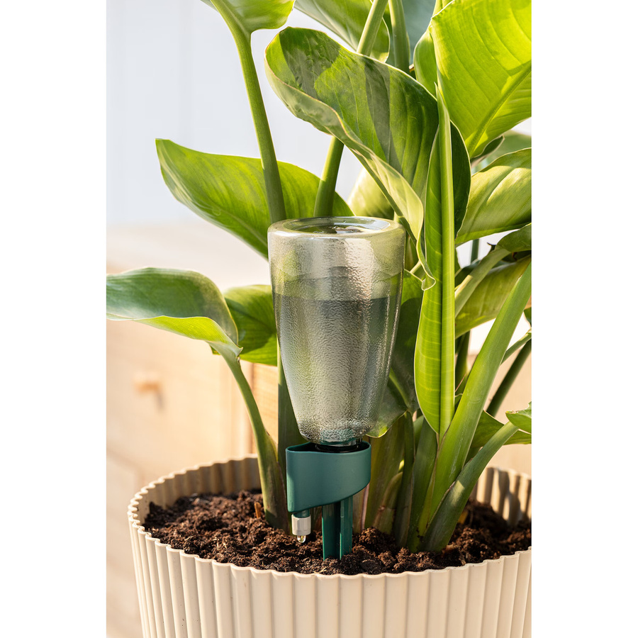 Genialo Bewässerungshilfe Wasserspender in Green und Transparent - Bild 3