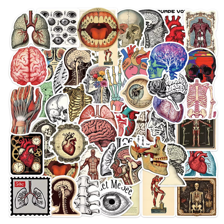 Charile Anatomie Organe Aufkleber, Cartoon, multicolour - Bild 2