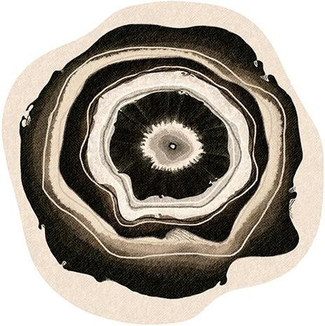HGHT Blumenteppich im französischen Vintage-Stil, unregelmäßig geformter Kunstteppich für Wohnzimmer und Schlafzimmer, mehrfarbig, B/B: 120 x 120 cm - Bild 1