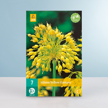 Allium Yellow Fantasy Blumenzwiebeln von BLUME2000, 7 Stück