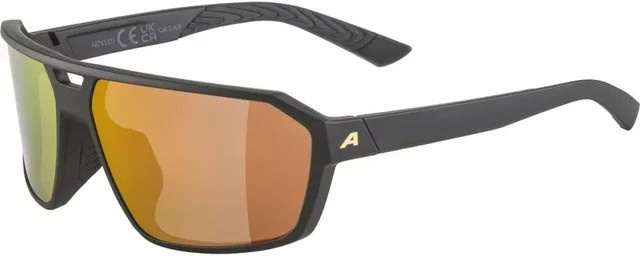Alpina SWIFT Sonnenbrille, Vollrand, rectangular, black, Unisex, Kunststoff - Bild 1