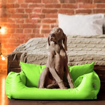 Tierlando NEMO Hundebett Hundesofa als Hundekorb oder Katzenbett in Kiwi Grün B: 80 cm, T: 60 cm, H: 22 cm - Bild 3