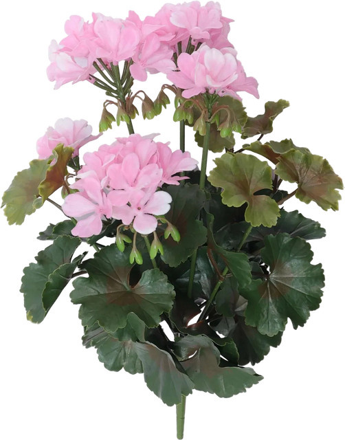 Künstliche Geranie Perla von Aplanta in Rosa, Höhe: 40 cm - Bild 1