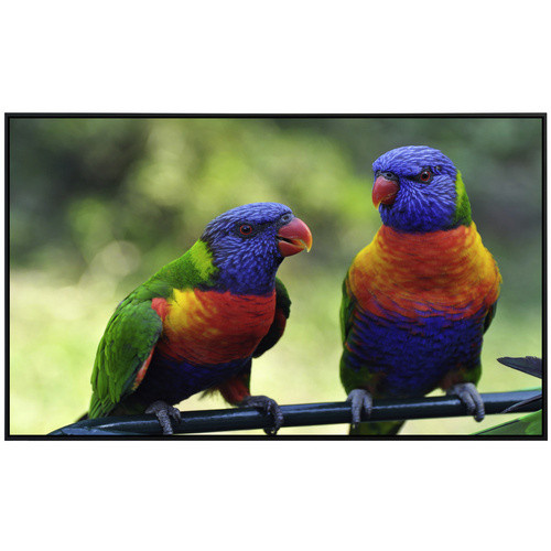 papermoon EcoHeat Infrarotheizung mit Regenbogen Lorikeets Motiv, bunt mit Matt-Effekt, App-Steuerung und Überhitzungsschutz - Bild 2