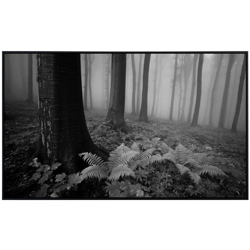 papermoon EcoHeat Infrarotheizung Wald Schwarz Weiss mit App-Steuerung und Überhitzungsschutz - Bild 2