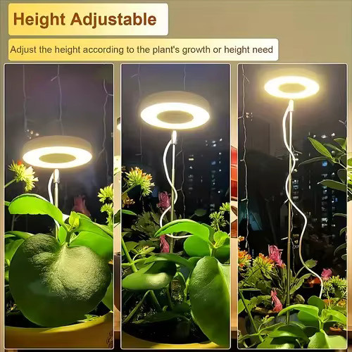 ZCMLED Pflanzenwachstumsleuchte in Schwarz, höhenverstellbare LED-Grow-Light mit Timer (3H/9H/12H und 10 dimmbaren Helligkeitsstufen) für den Schreibtisch oder das Home-Office - Bild 3