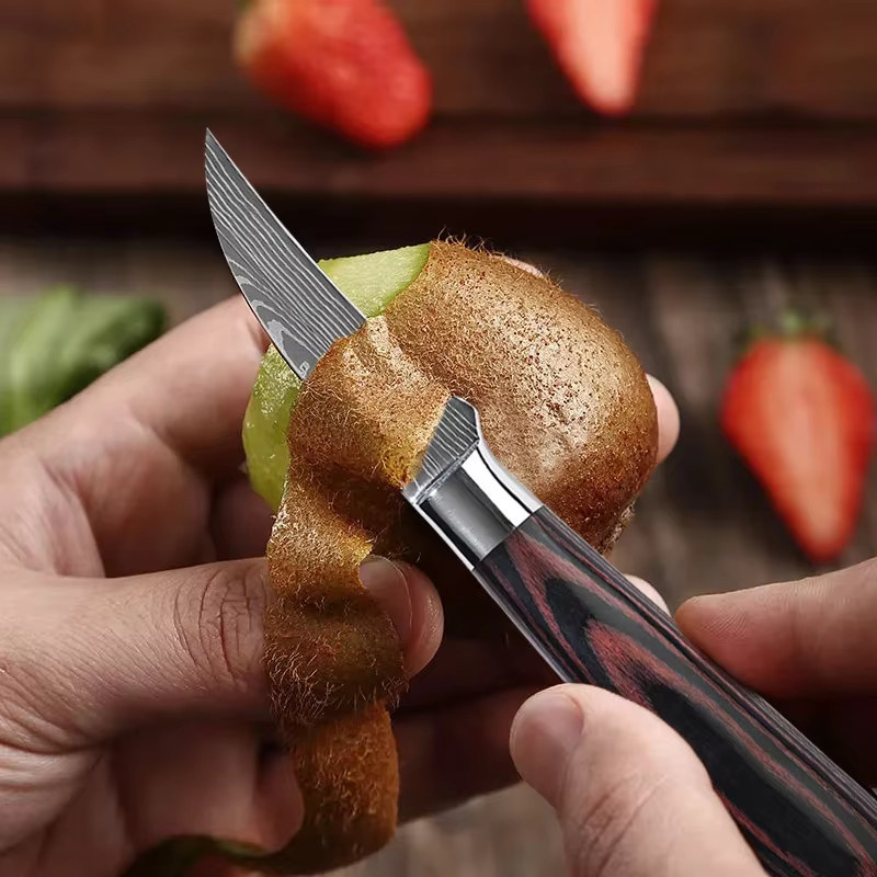 WXCOO Damaskus Allzweck-Tranchiermesser und Obstschälmesser mit Holzgriff - Bild 3