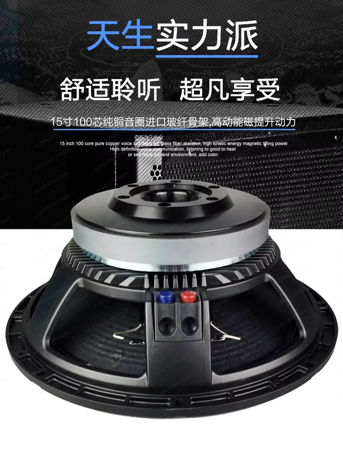 Leistungsstarker 15-Zoll-Vollbereichs-Subwoofer mit 800 W und 220 Magnet in Schwarz für KTV und Bühnenaufführungen - Bild 5