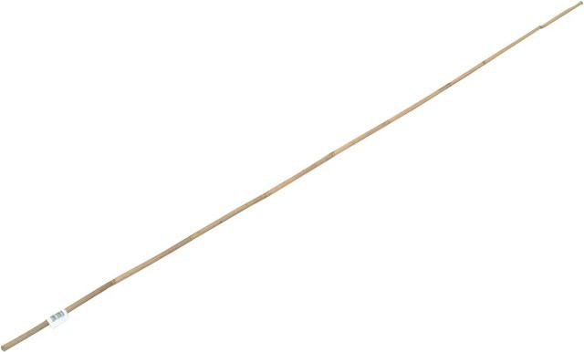 Bambusstab zur Unterstützung, Länge: 60 cm, Durchmesser: 0,5 cm - Bild 1