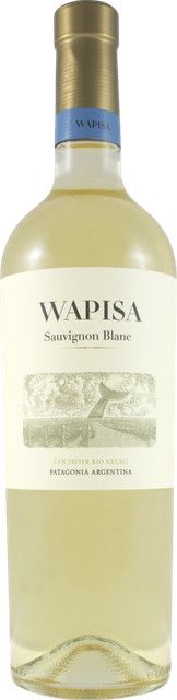 Wapisa Sauvignon Blanc 2021, Weißwein aus Argentinien, 0,75 l - Bild 1