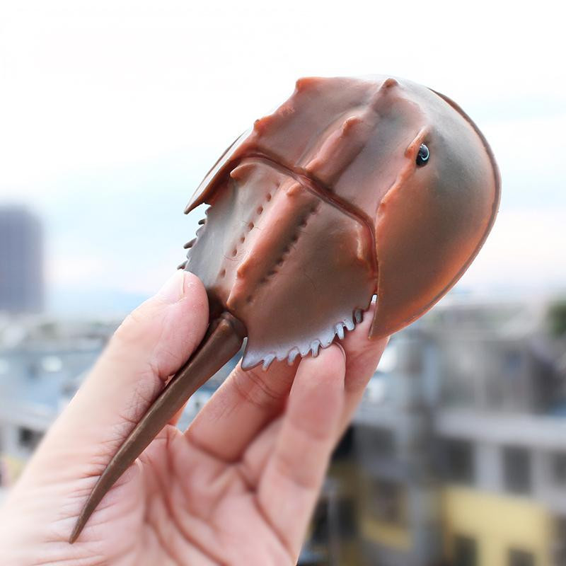Hufeisenkrebs Figur aus PVC als lehrreiches Spielzeug für Kinder - Bild 2