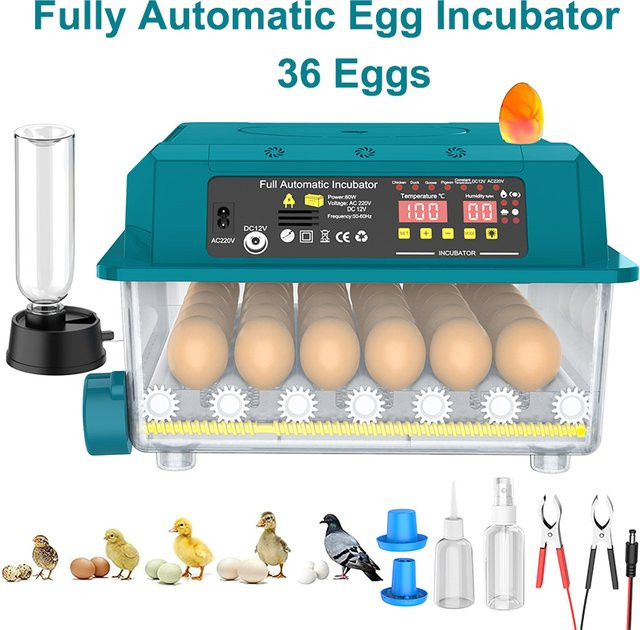 Lpnove Vollautomatischer Brutapparat für 36 Eier mit 4 Schlupfmodi, automatischer Wendung und Temperaturregelung, Duale Stromversorgung 220V/12V, Mini Geflügel-Brutmaschine für Hühner und Enten - Bild 1