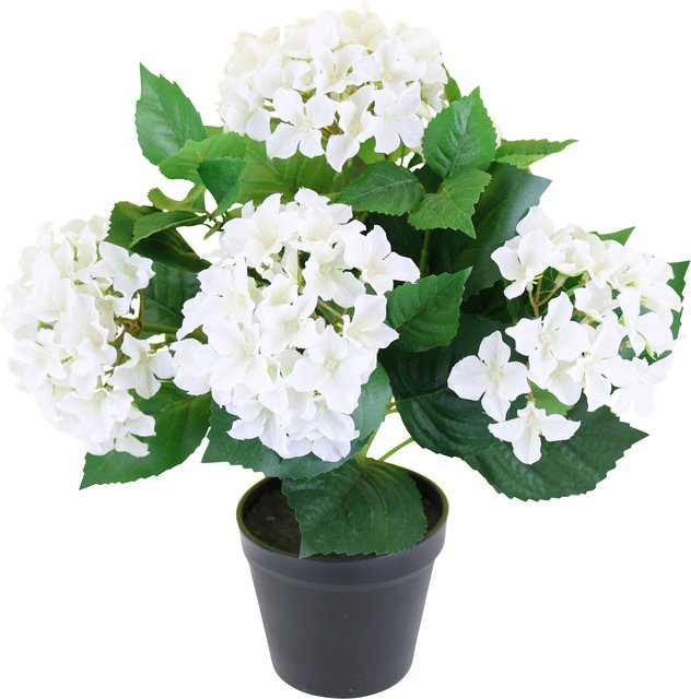 Künstliche Hortensie im Topf von MODERNE HAUSFRAU in Grün, Weiß und Schwarz - Bild 1