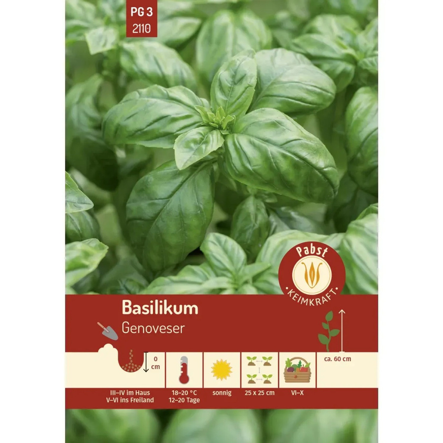 Pabst Keimkraft Basilikum Genoveser Saatgut für den Garten - Bild 2