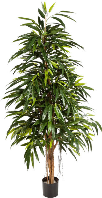 Künstliche Longifolia Pflanze von Aplanta, Höhe: 180 cm - Bild 1
