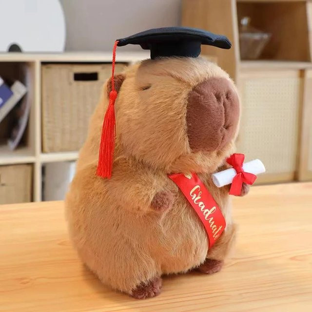 Yiran toy Absolventen-Plüschpuppen, Capybara, Eule, Bär, Plüschtier - Bild 1