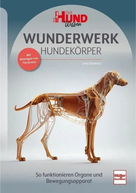 Wunderwerk Hundekörper von Lena Schwarz, Sachbuch - Bild 1