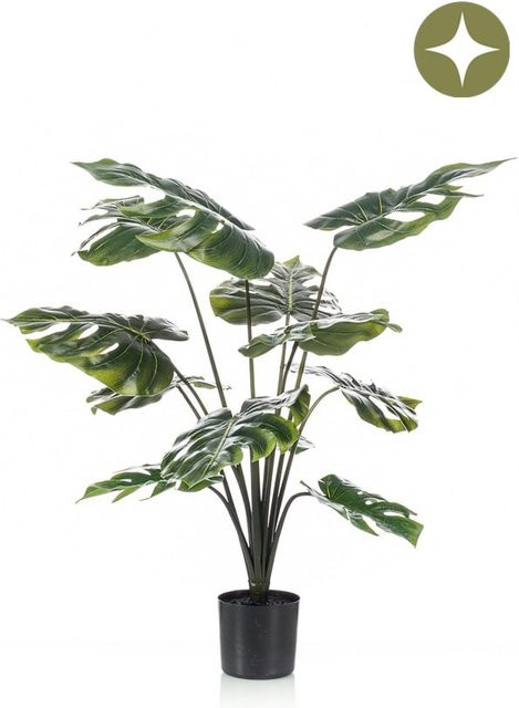 Künstliche Monstera Pflanze von Aplanta in Grün, Breite: 80 cm, Tiefe: 50 cm - Bild 1