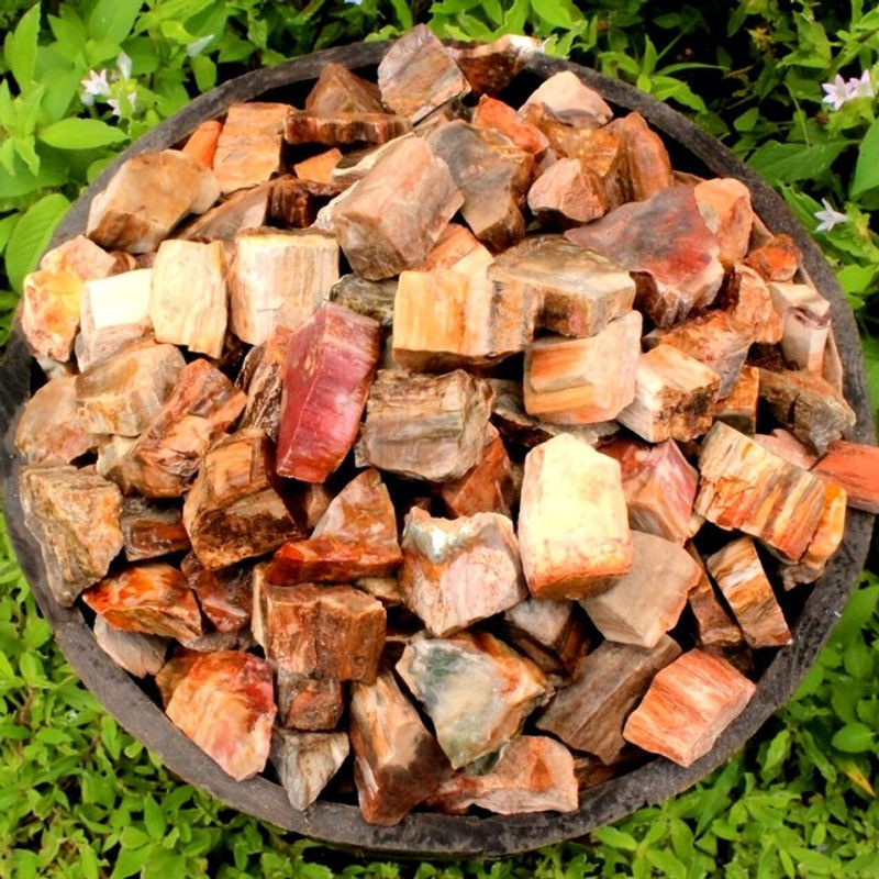 CrystalHola Natürlicher versteinertes Holz Rohstein in Mehrfarbig mit erhaltenen Holzmaserungen und Mineralien für deine Dekoration - Bild 1