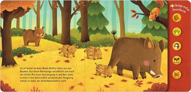 Hör mal, so klingt der Wald!, Pappbilderbuch, arsEdition - Bild 1